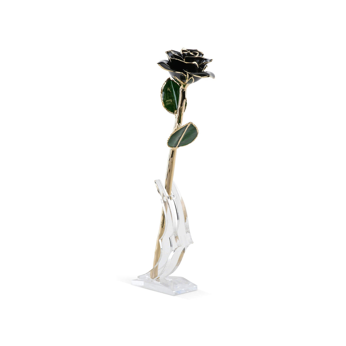 Timeless Rose (Black)