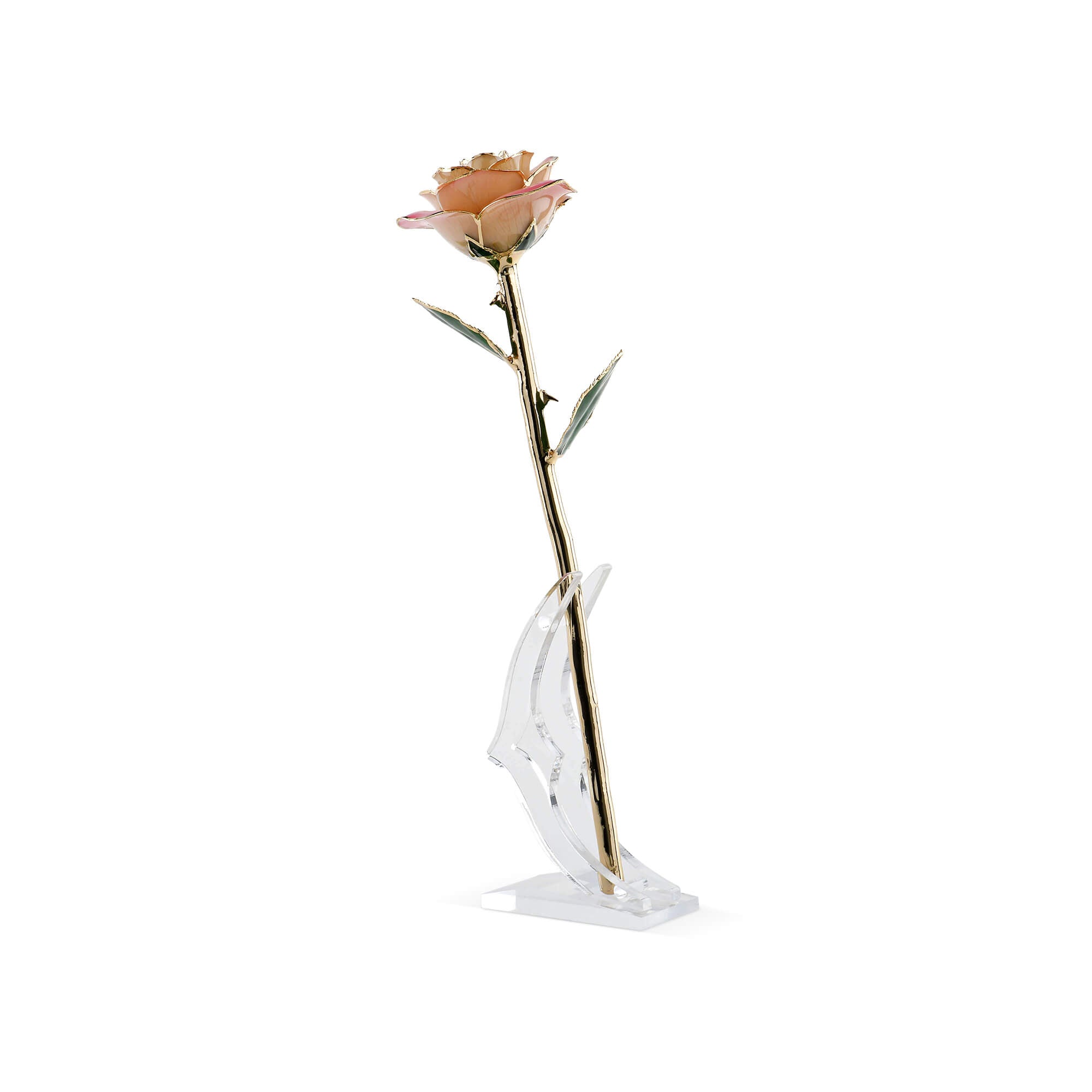 Timeless Rose (Light Pink)
