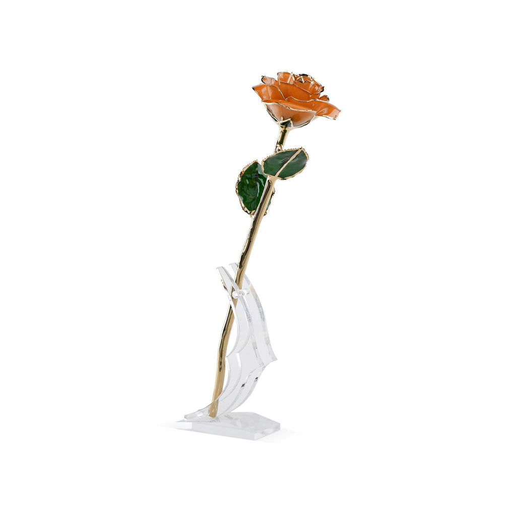Timeless Rose (Pear)