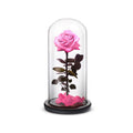 Everlasting Rose (Pink)