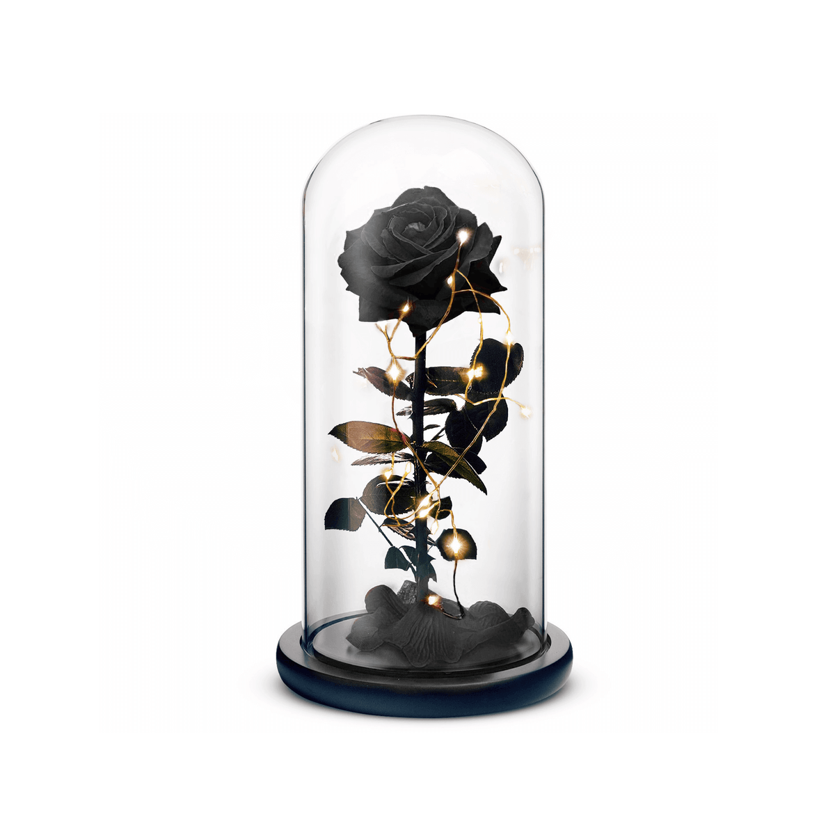 Beauty and The Beast Rose (Black)